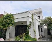 Top Udaipur
