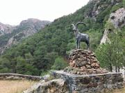 Top Alcaucín