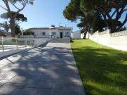 Top Novo Sancti Petri