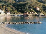 Top Levanto