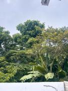 Top Alta Floresta