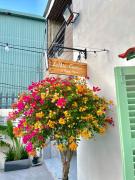 Top Chợ Phước Hải