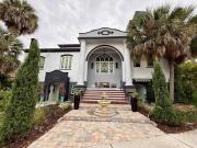 Top Tarpon Springs