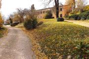 Top Collegiglioni