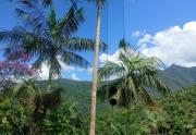 Top Paraty
