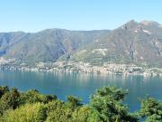 Top Faggeto Lario