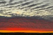 Top Watford City