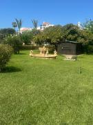 Top Casablanca