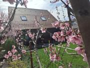 Top Sibiu