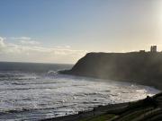 Top Scarborough