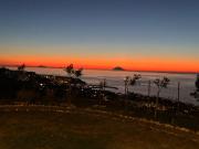 Top Parghelia