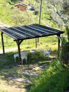 Top Barga
