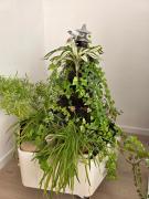 Top Waldshut-Tiengen