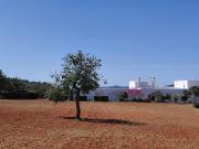 Top Sant Joan de Labritja