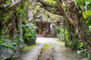 Top Ubud