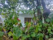 Top Munnar