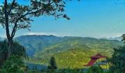 Top Jhalong