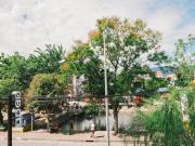 Top Chiang Mai