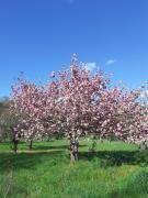 Top Bourron-Marlotte
