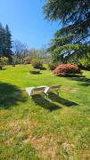 Top Borgo Ticino