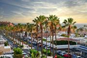 Top Palm-mar