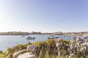 Top Barfleur