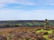 Top Skinningrove