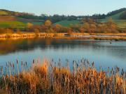 Top Tregaron