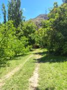 Top Los Andes Top Los Andes