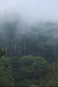 Top Yelagiri