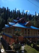 Top Jibhi