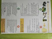 Top Villongo SantʼAlessandro