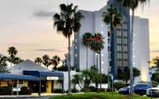 Top Orlando
