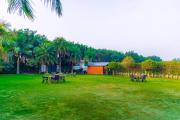 Top Noida