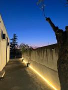 Top Sannicandro Garganico Top Sannicandro Garganico