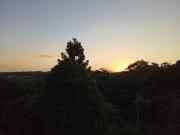 Top Campo Largo
