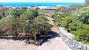 Top Pantelleria
