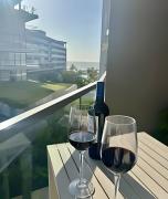 Vista infinita: Confort premium frente al mar