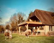 La Maison den Face - Family cottage - Normandy, France