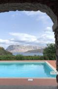 Top Capo Coda Cavallo