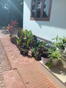 Top Mananthavady