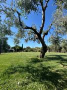 Agriturismo La Quercia - Wine&Pool