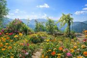 Nonna Teresa - the nature near Amalfi