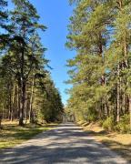 Top Szczechy Wielkie