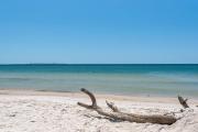 Top Port St. Joe