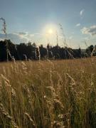 Top Frymburk