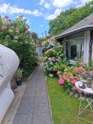 Top Jastarnia Top Jastarnia