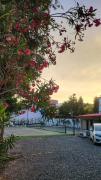 Top Dehradun