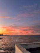 Top Trani