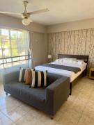 301 Lovely colonial unit with rooftop terrace